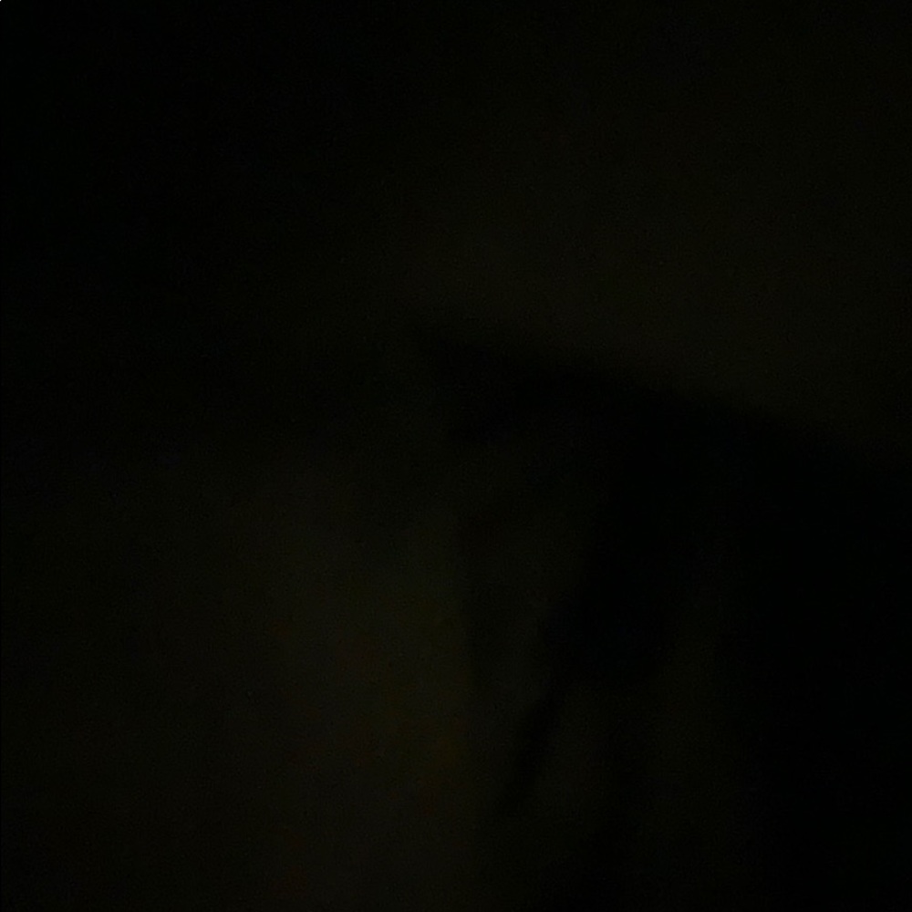 Meet your Posher, Sydni